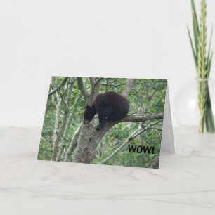 carte d'anniversaire d'ours de bébé
