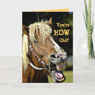 Cartes De Vœux Humour Cheval Zazzle Fr