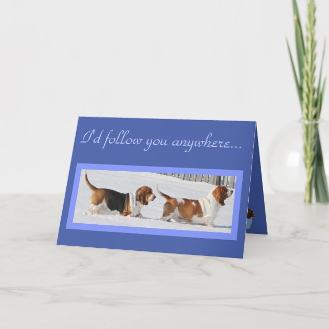 Carte d'anniversaire drôle avec Bassets, Cupcake e (Devant)
