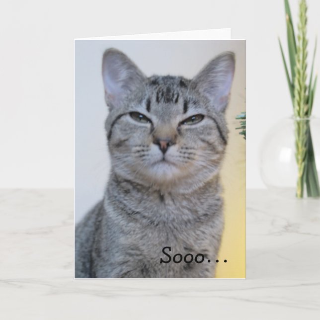 Carte d'anniversaire drôle avec chat suspect (Devant)