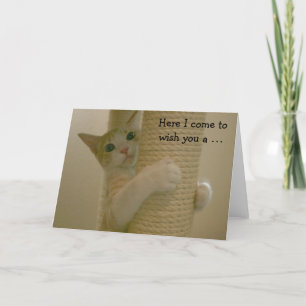 Carte d'anniversaire drôle avec le chat d'escalade