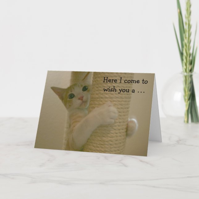 Carte d'anniversaire drôle avec le chat d'escalade (Devant)