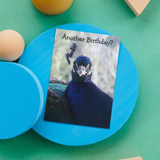 Carte d'anniversaire drôle avec photo de paon bleu (In Situ)