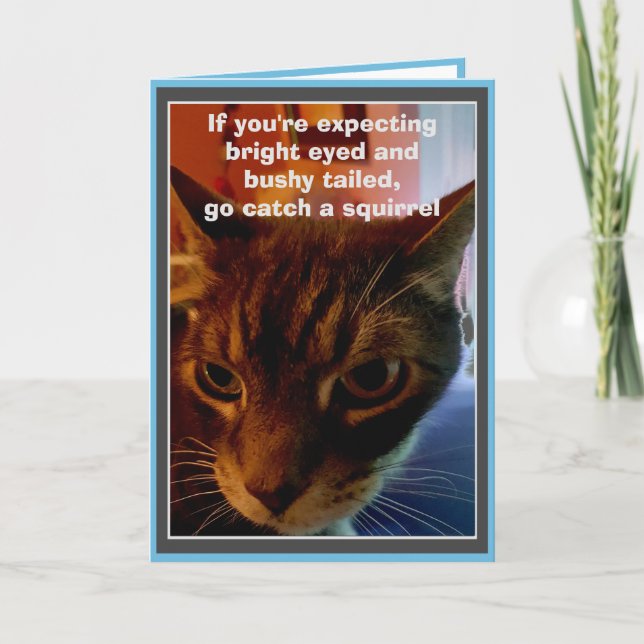 Carte d'anniversaire drôle avec un chat sarcastiqu (Devant)