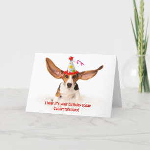 Carte d'anniversaire drôle Basset hound chien avec