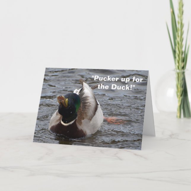 Carte d'anniversaire drôle de canard de Mallard (Devant)