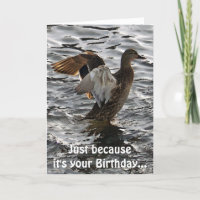 Carte d'anniversaire drôle de canard de Mallard de