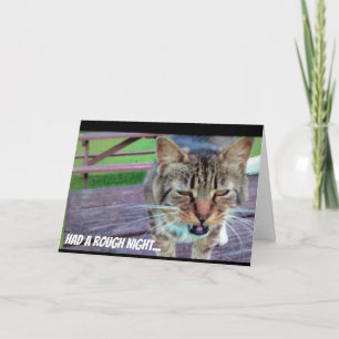 Carte d'anniversaire drôle de chat