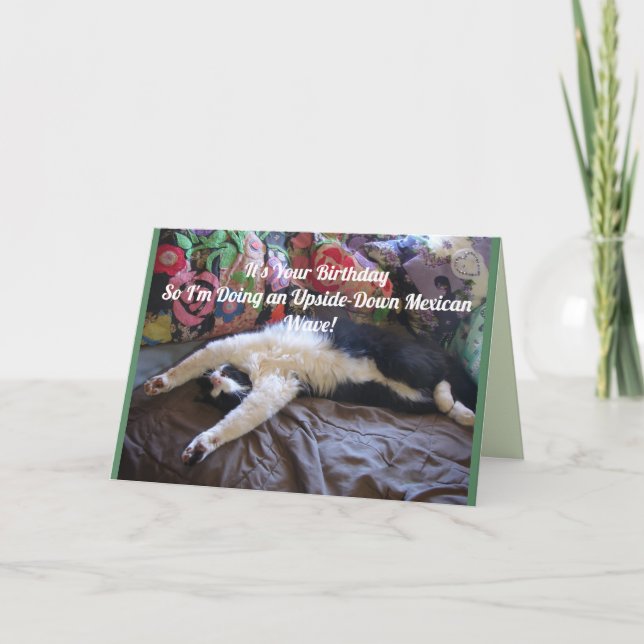 Carte d'anniversaire drôle de chat smoking mexicai (Devant)