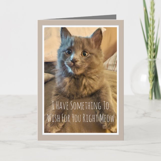 Carte d'anniversaire drôle de chaton gris de la pa (Devant)