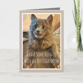 Carte d'anniversaire drôle de chaton gris De la pa