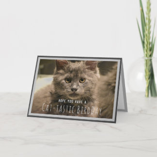 Carte d'anniversaire drôle de chaton gris super mi