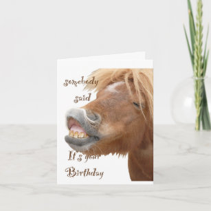 Carte d'anniversaire drôle de cheval