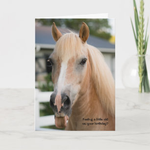 Carte d'anniversaire drôle de cheval sur le vieill