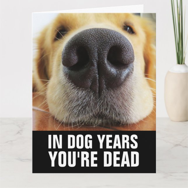 CARTE D'ANNIVERSAIRE DRÔLE DE CHIEN (Devant)