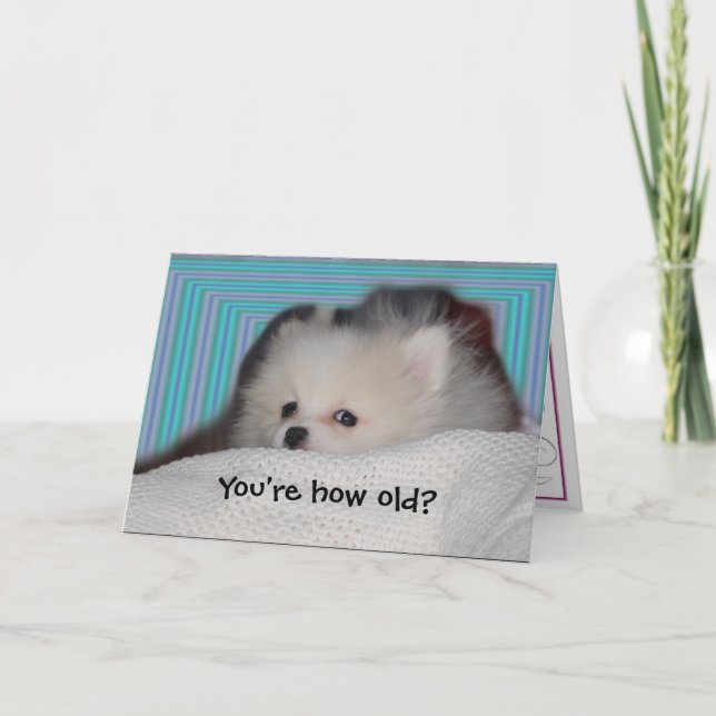 Carte d'anniversaire drôle de chiot (Devant)