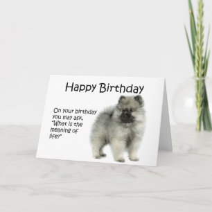 Carte d'anniversaire drôle de chiot de Keeshond