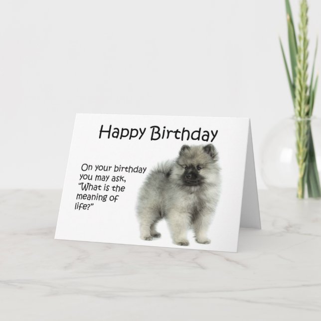 Carte d'anniversaire drôle de chiot de Keeshond (Devant)