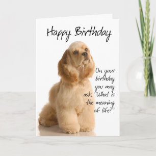 Carte d'anniversaire drôle de Cocker Spaniel