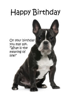 Cartes Francais Drole D Anniversaire Zazzle Fr Cartes Francais Drole D Anniversaire Zazzle Fr