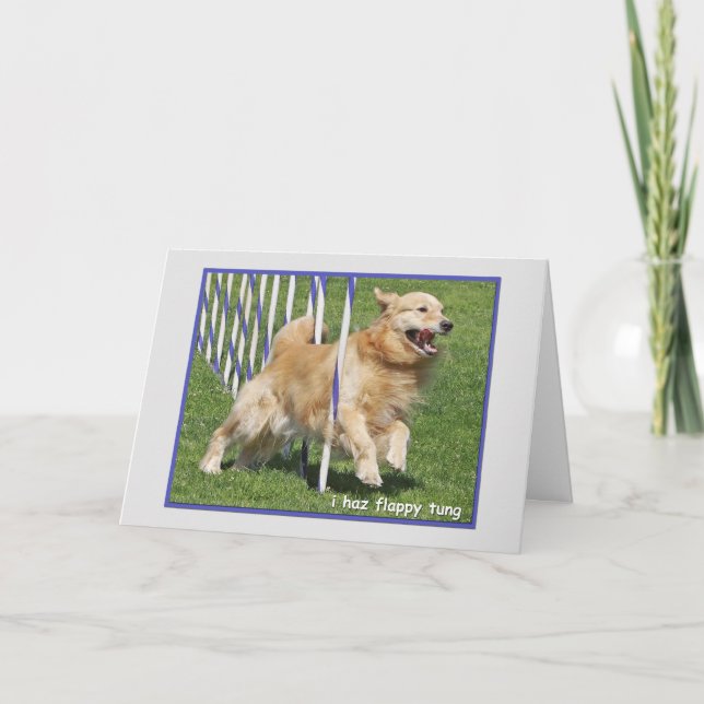 Carte d'anniversaire drôle de golden retriever (Devant)