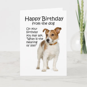 Carte d'anniversaire drôle de Jack Russell Terrier
