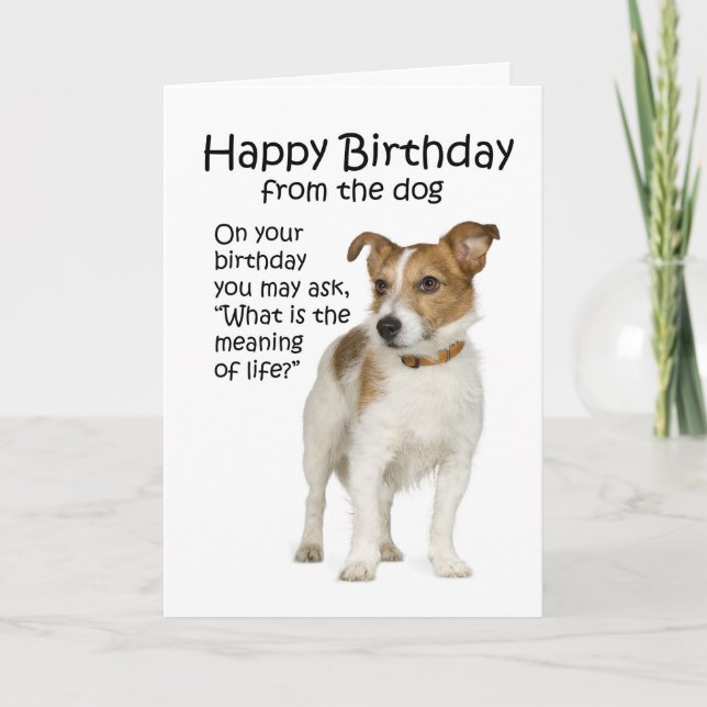 Carte d'anniversaire drôle de Jack Russell Terrier (Devant)