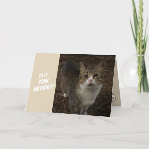 Carte d'anniversaire drôle de Kitty