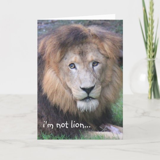 Carte D Anniversaire Drole De Lion Zazzle Fr