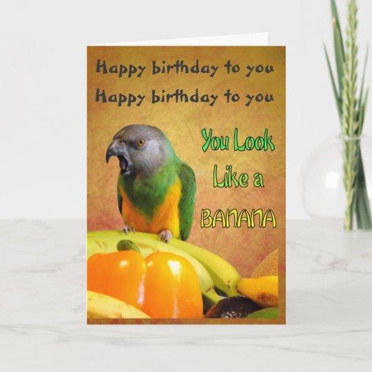 Carte D Anniversaire Drole De Perroquet Du Senegal Zazzle Fr