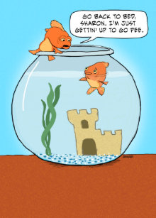 Cartes Poisson Rouge D Anniversaire Zazzle Fr
