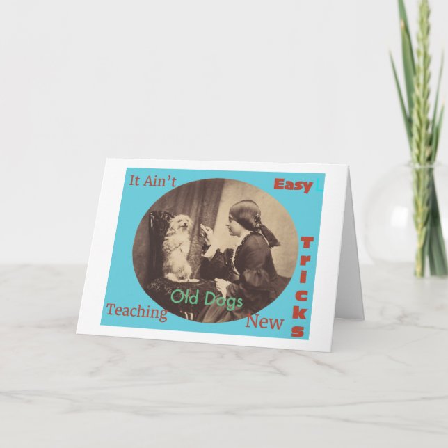 Carte d'anniversaire drôle pour vieux chiens (Devant)