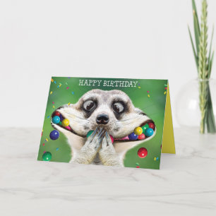 Carte d'anniversaire drôle - Suricate