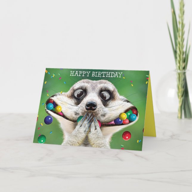 Carte d'anniversaire drôle - Suricate (Devant)