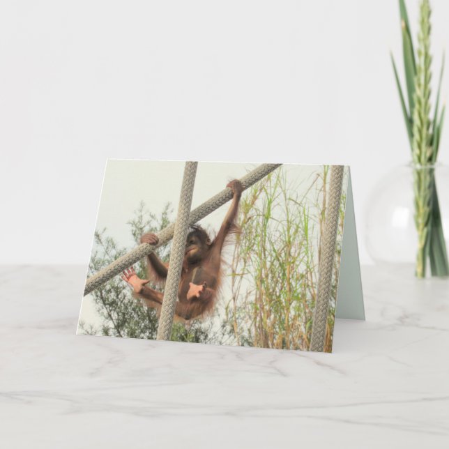 Carte d'anniversaire du bébé Orangoutan (Devant)