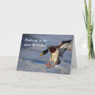 Carte d'anniversaire du canard Mallard
