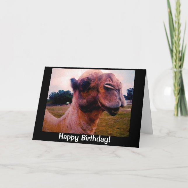 Carte d'anniversaire du chameau baveux (Devant)