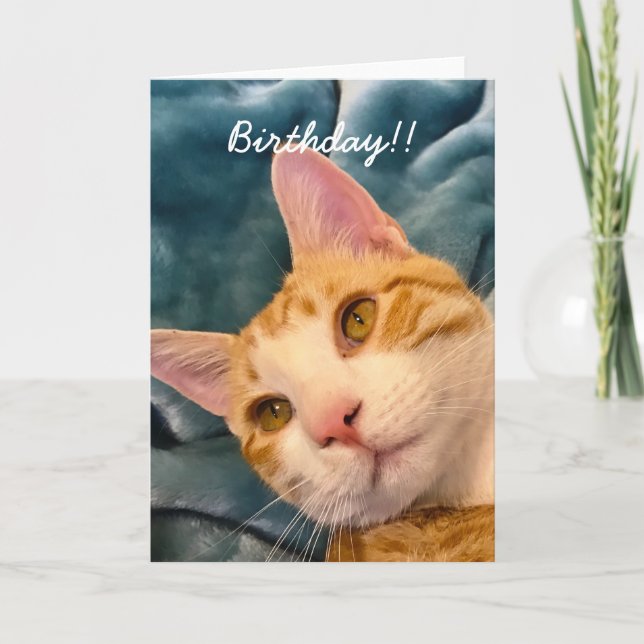 Carte d'anniversaire du chat (Devant)