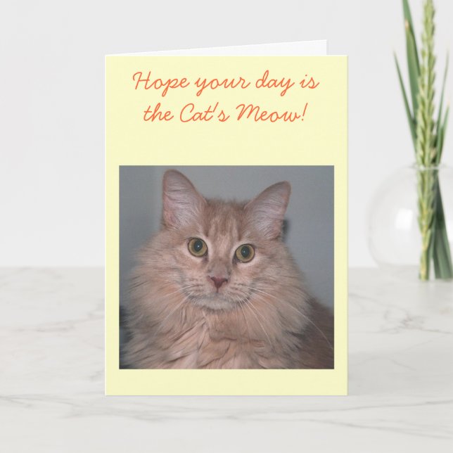 Carte d'anniversaire du chat (Devant)