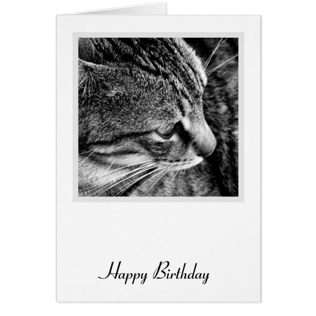 Carte d'anniversaire du chat (Devant)