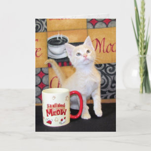 Carte d'anniversaire du chat Mocha Dream de Tuffy 