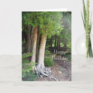 Carte d'anniversaire du chemin forestier