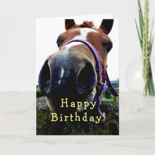 Carte d'anniversaire du cheval