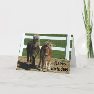 Carte d'Anniversaire du Cheval Miniature
