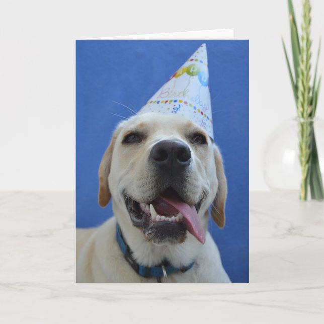 Carte d'anniversaire du chien amusant (Devant)