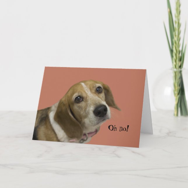 Carte d'anniversaire du chien beagle (Devant)