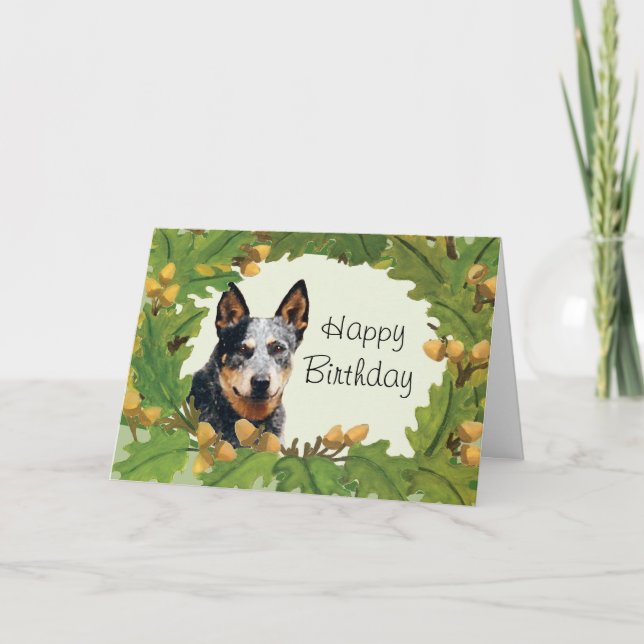 Carte d'anniversaire du chien de bétail australien (Devant)