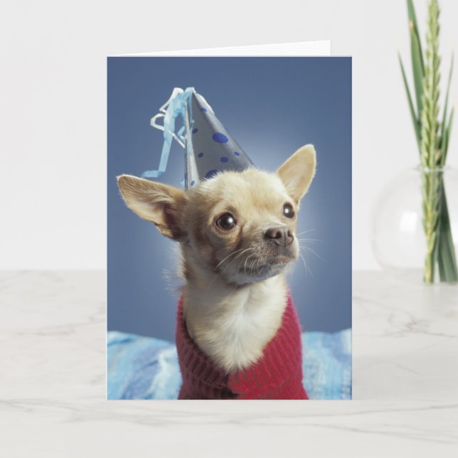 Carte d'anniversaire du chien de fête (Devant)