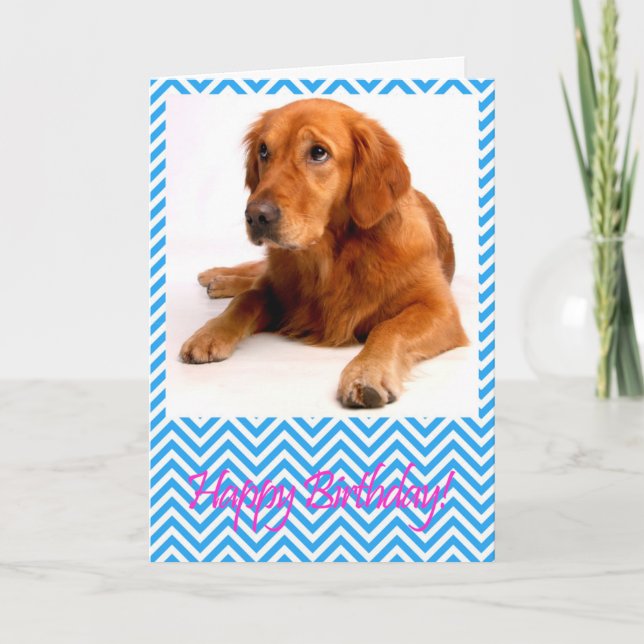 Carte d'Anniversaire du chien Golden Retriever (Devant)