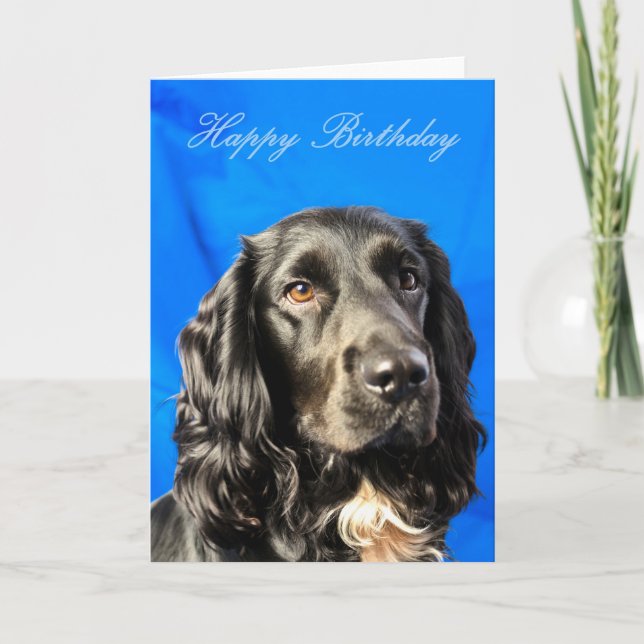 Carte d'anniversaire du chien mignon (Devant)